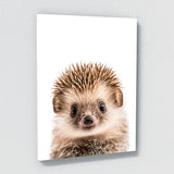 Nursery Baby Hedgehog Photography 167 Wall Art