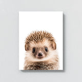 Nursery Baby Hedgehog Photography 167 Wall Art