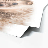 Nursery Baby Hedgehog Photography 167 Wall Art