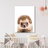 Nursery Baby Hedgehog Photography 167 Wall Art