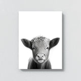 Nursery Baby Highland Cow Black 202 Wall Art