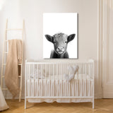 Nursery Baby Highland Cow Black 202 Wall Art