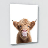 Nursery Baby Highland Cow Gum 40 Wall Art