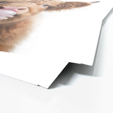 Nursery Baby Highland Cow Gum 40 Wall Art