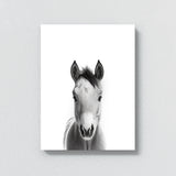 Nursery Baby Horse Black White 193 Wall Art