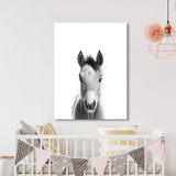 Nursery Baby Horse Black White 193 Wall Art