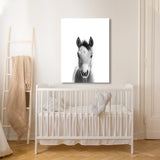 Nursery Baby Horse Black White 193 Wall Art