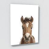 Nursery Baby Horse Photography 163 Wall Art