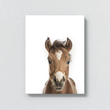 Nursery Baby Horse Photography 163 Wall Art