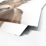 Nursery Baby Horse Photography 163 Wall Art