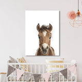 Nursery Baby Horse Photography 163 Wall Art