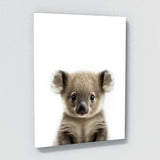 Nursery Baby Koala Photography 158 Wall Art