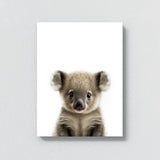 Nursery Baby Koala Photography 158 Wall Art