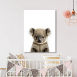 Nursery Baby Koala Photography 158 Wall Art