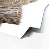 Nursery Baby Leopard Photography 140 Wall Art
