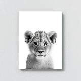 Nursery Baby Lion Black White 189 Wall Art