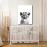 Nursery Baby Lion Black White 189 Wall Art