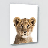 Nursery Baby Lion Photography 151 Wall Art