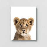 Nursery Baby Lion Photography 151 Wall Art