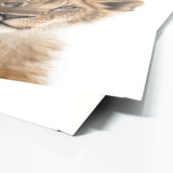 Nursery Baby Lion Photography 151 Wall Art
