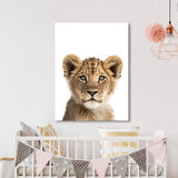 Nursery Baby Lion Photography 151 Wall Art
