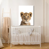 Nursery Baby Lion Photography 151 Wall Art