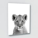 Nursery Baby Lioness Black White 188 Wall Art