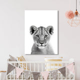 Nursery Baby Lioness Black White 188 Wall Art