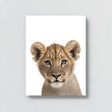 Nursery Baby Lioness Photography 208 Wall Art