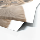 Nursery Baby Lioness Photography 208 Wall Art