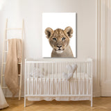 Nursery Baby Lioness Photography 208 Wall Art