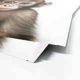 Nursery Baby Monkey Photography 137 Wall Art
