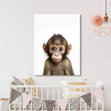 Nursery Baby Monkey Photography 137 Wall Art
