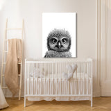 Nursery Baby Owl Black White 179 Wall Art