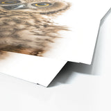 Nursery Baby Owl Photography 207 Wall Art