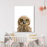 Nursery Baby Owl Photography 207 Wall Art