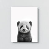 Nursery Baby Panda Black White 178 Wall Art