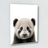 Nursery Baby Panda Photography 144 Wall Art