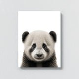 Nursery Baby Panda Photography 144 Wall Art