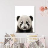 Nursery Baby Panda Photography 144 Wall Art