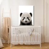 Nursery Baby Panda Photography 144 Wall Art