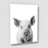 Nursery Baby Pig Black White 182 Wall Art