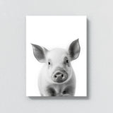 Nursery Baby Pig Black White 182 Wall Art