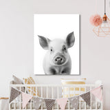 Nursery Baby Pig Black White 182 Wall Art