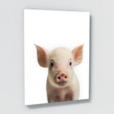 Nursery Baby Pig Photography 142 Wall Art