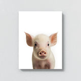 Nursery Baby Pig Photography 142 Wall Art