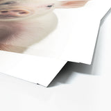 Nursery Baby Pig Photography 142 Wall Art