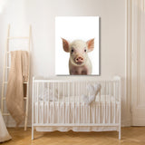 Nursery Baby Pig Photography 142 Wall Art
