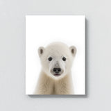 Nursery Baby Polar Bear 145 Wall Art
