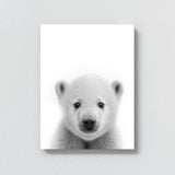 Nursery Baby Polar Bear Black 187 Wall Art